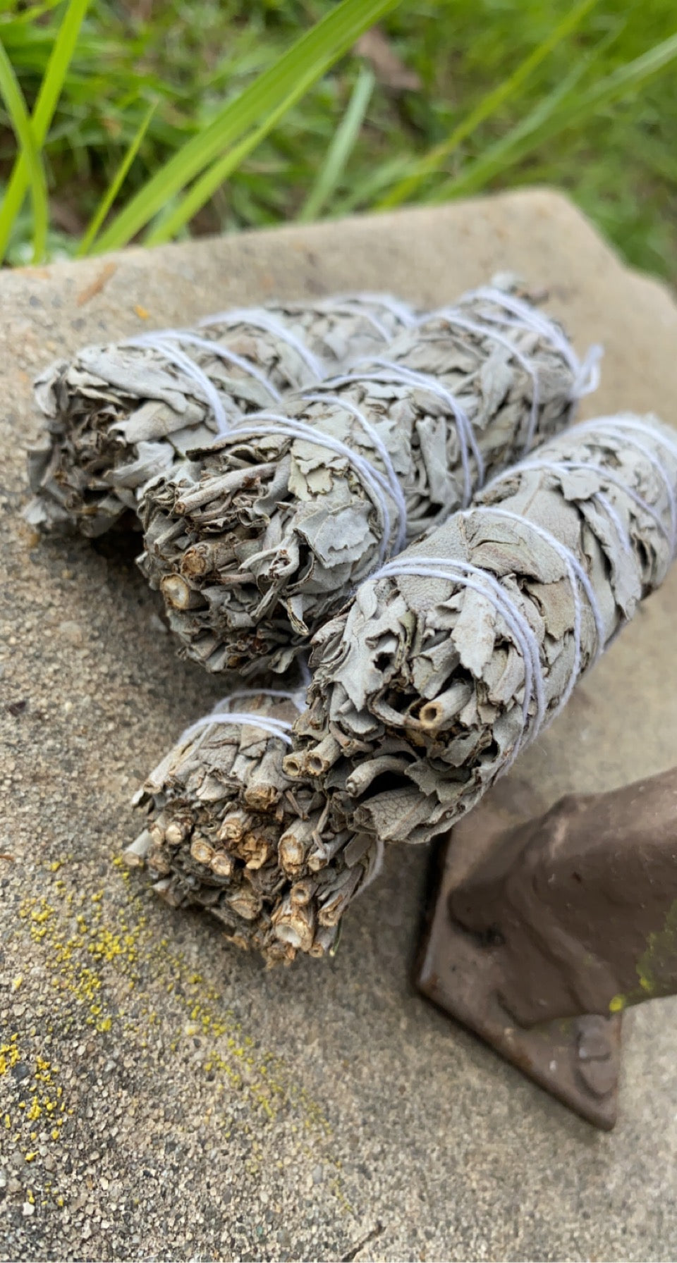 White sage
