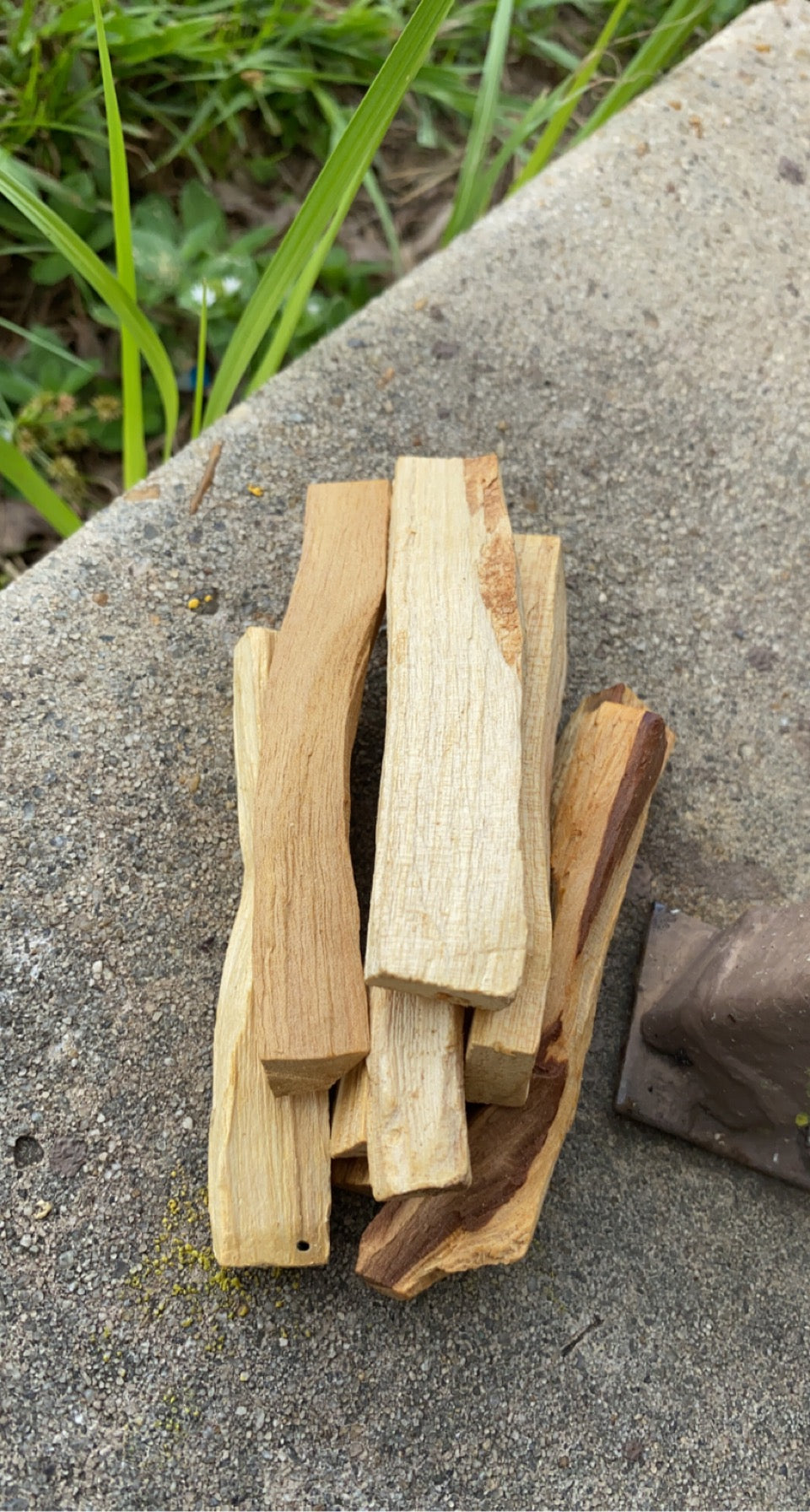 Palo Santo (holy wood)- 2