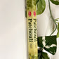 Patchouli Incense | Aromatherapy