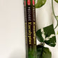 Eucalyptus Incense | Aromatherapy