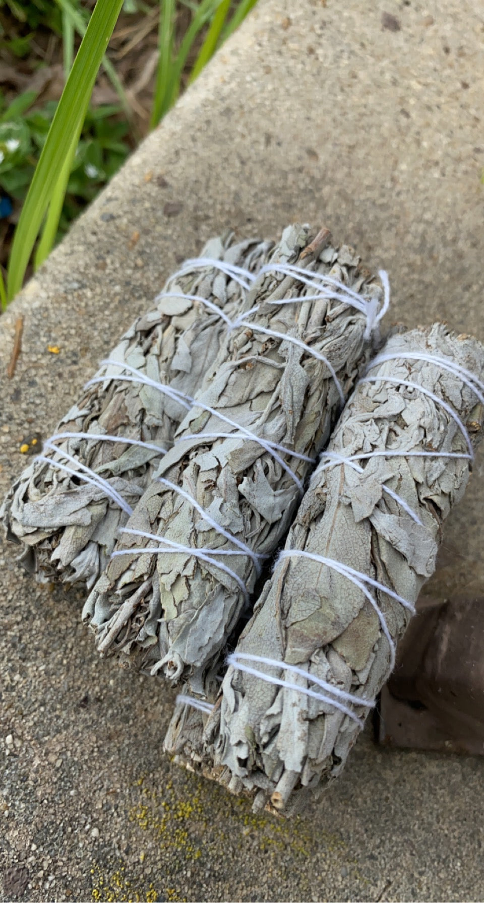 White sage