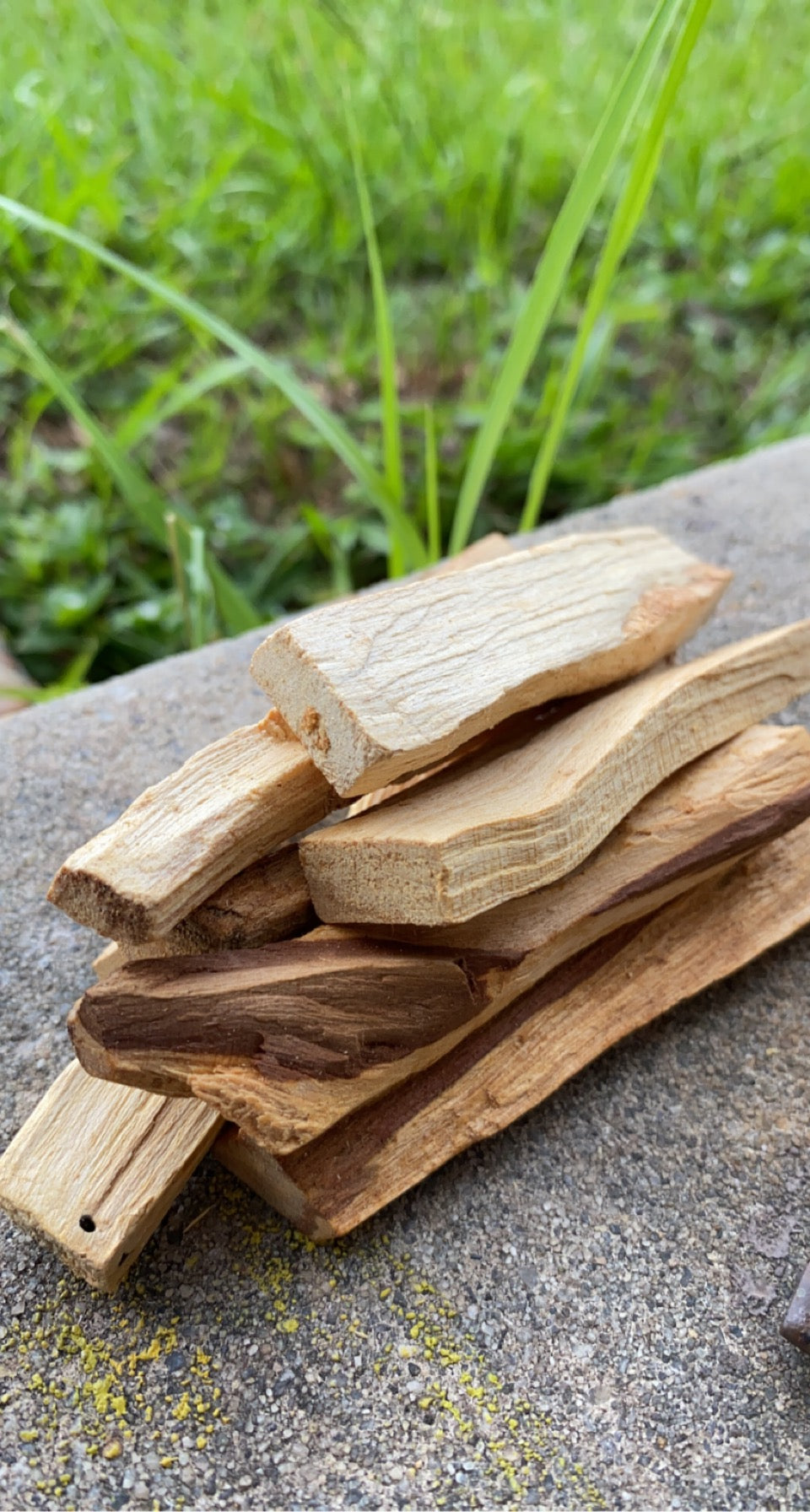 Palo Santo (holy wood)- 2